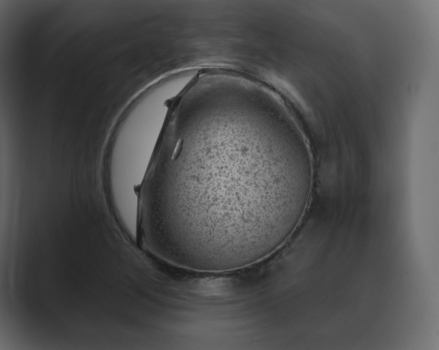 X0000089701268200706281448