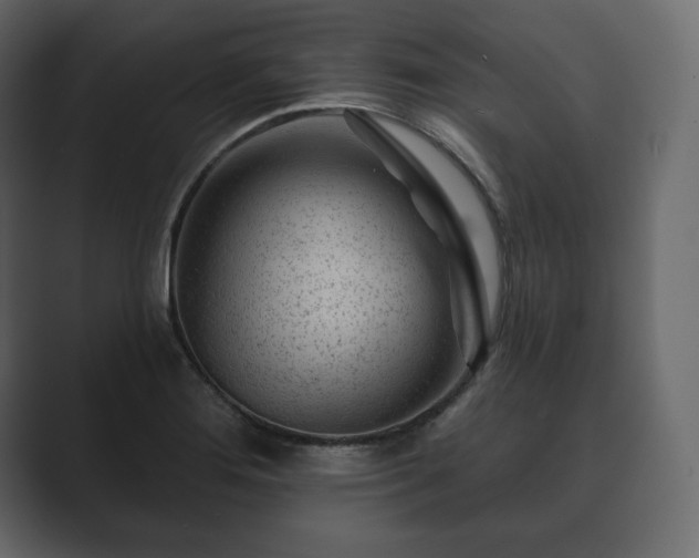 X0000089701276200706281448