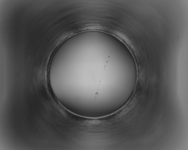 X0000089701282200706281448