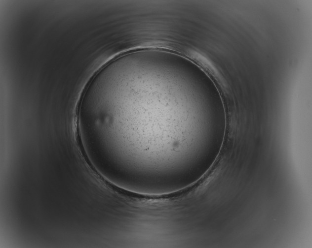 X0000089701284200706281447