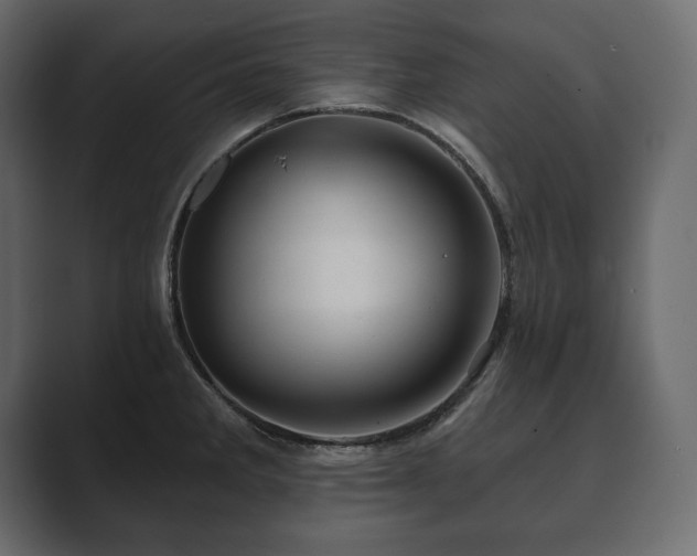 X0000089701285200706281447