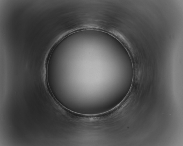 X0000089701286200706281447