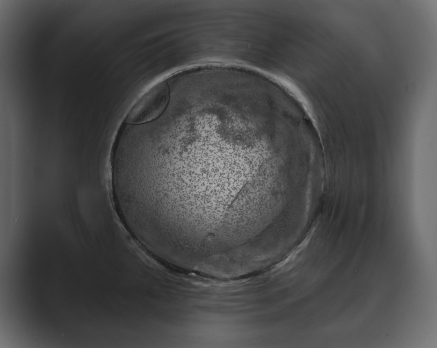 X0000089701287200706281447