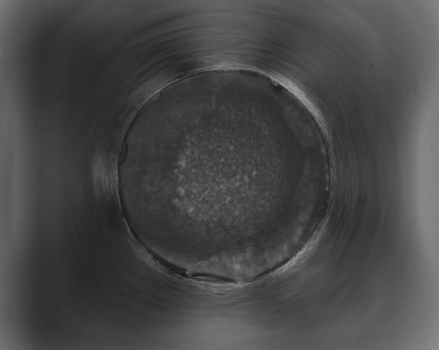 X0000089701289200706281447