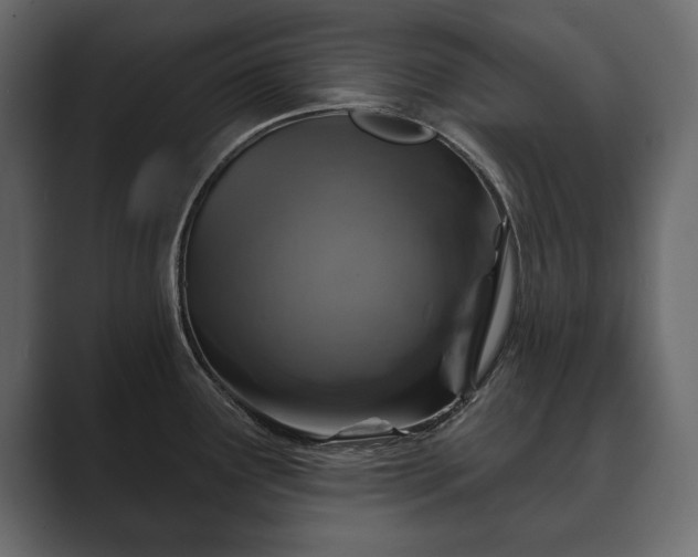 X0000089701291200706281447