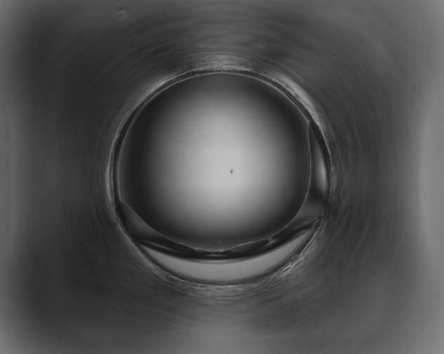 X0000089701293200706281447