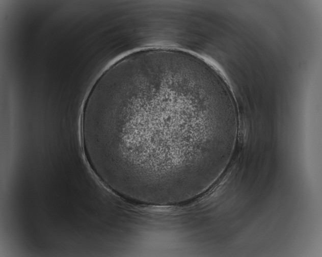 X0000089701295200706281447