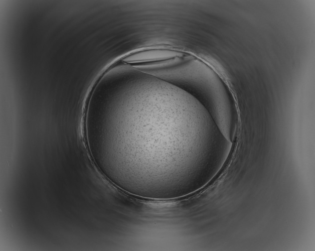 X0000089701296200706281447