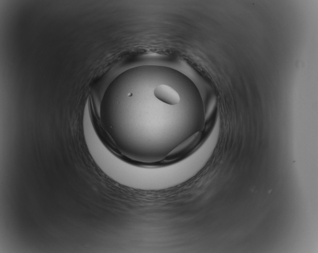 X0000089701298200706281447