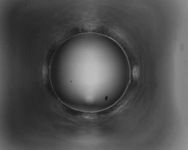 X0000089701299200706281447