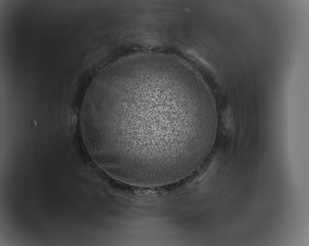 X0000089701302200706281447