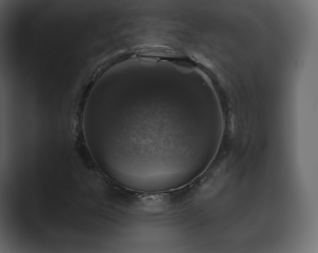 X0000089701303200706281447