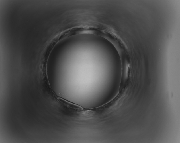 X0000089701304200706281447