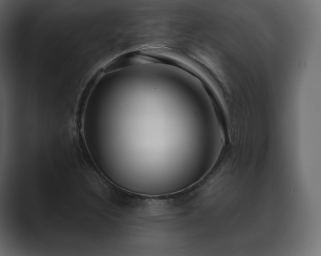 X0000089701308200706281447