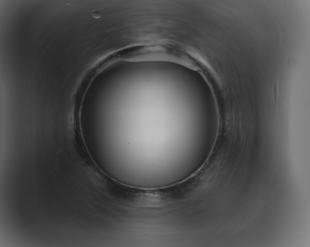 X0000089701315200706281447