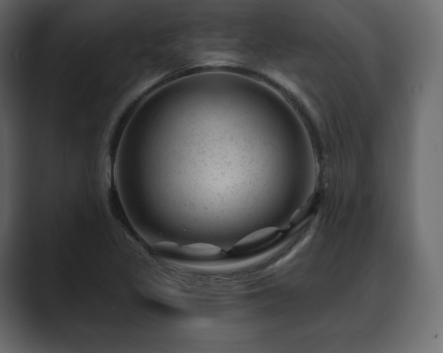 X0000089701317200706281447