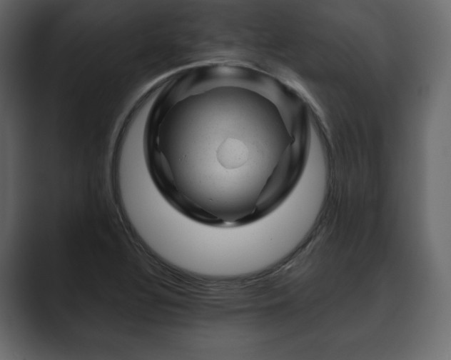 X0000089701320200706281447