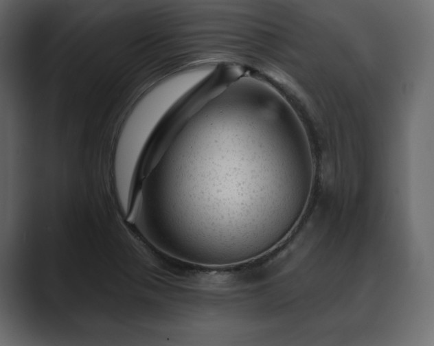 X0000089701321200706281447