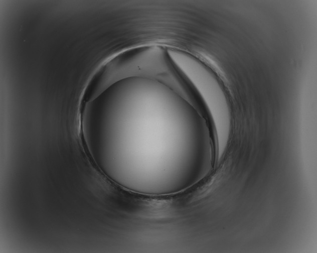 X0000089701324200706281447