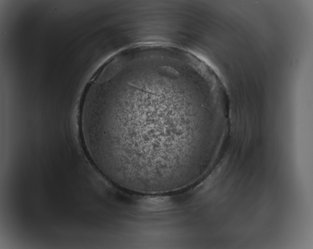 X0000089701325200706281447