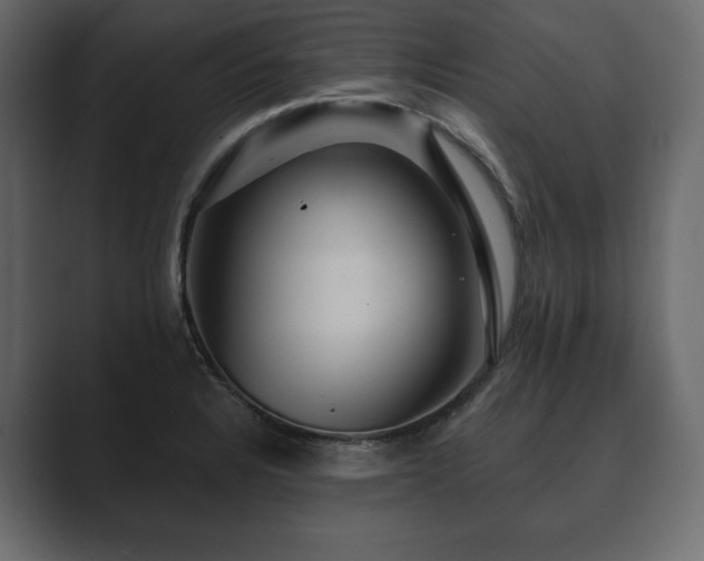 X0000089701328200706281447