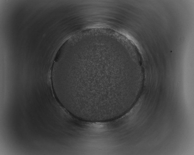 X0000089701329200706281447