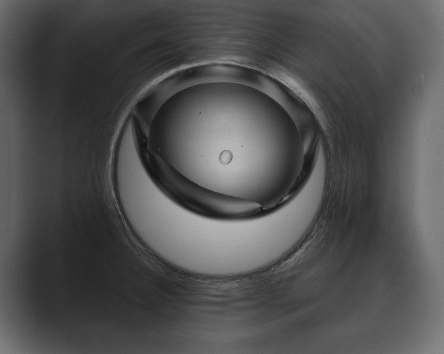 X0000089701332200706281447