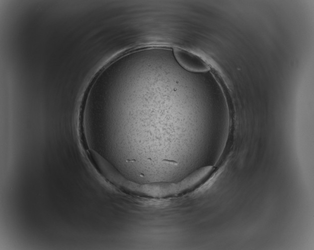 X0000089701333200706281447