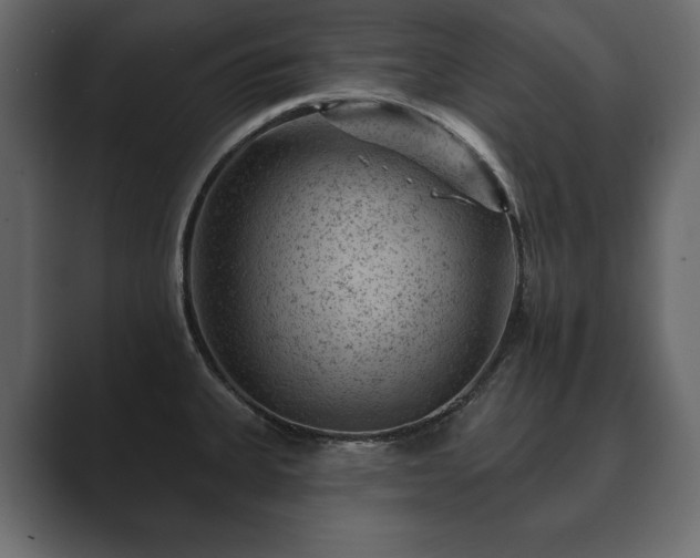 X0000089701335200706281447