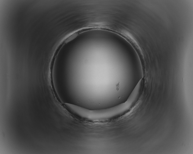 X0000089701336200706281447