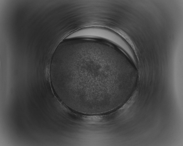 X0000089701337200706281447