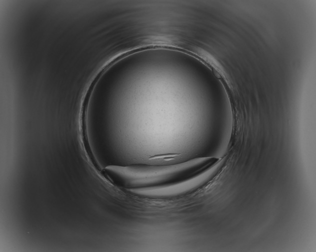 X0000089701339200706281447