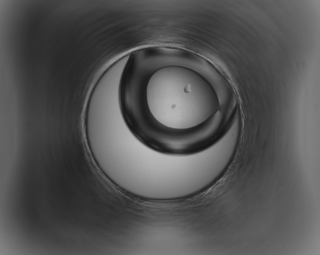 X0000089701344200706281447