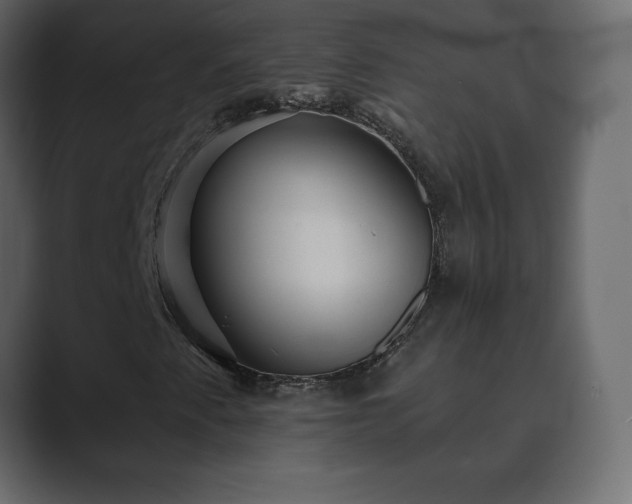 X0000089701345200706281447