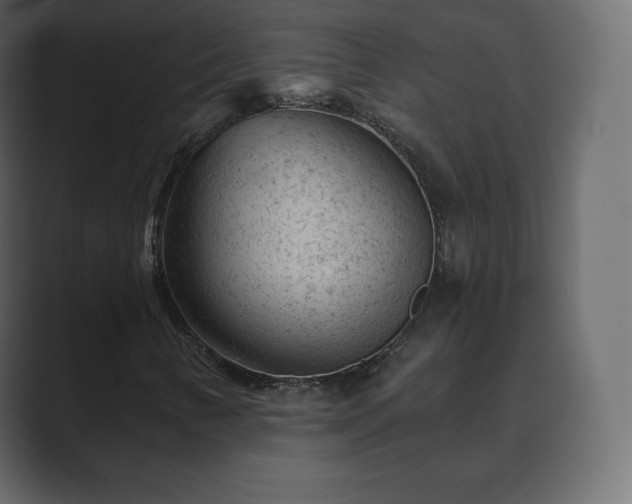 X0000089701346200706281447