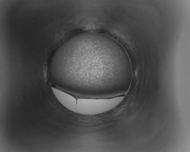 X0000089701348200706281447