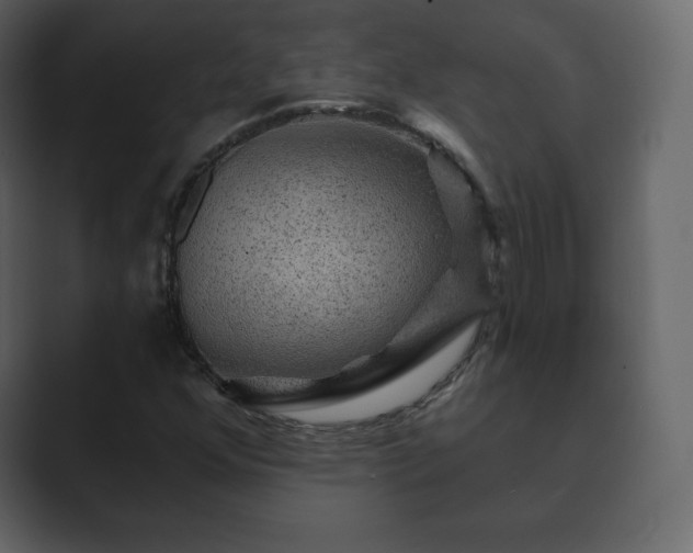 X0000089701352200706281447