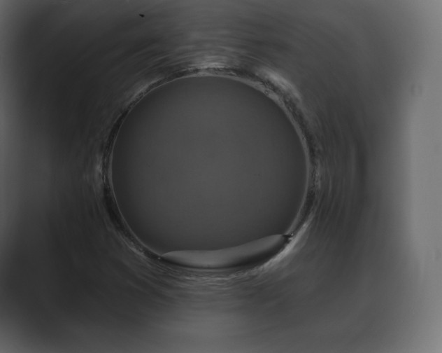 X0000089701353200706281447