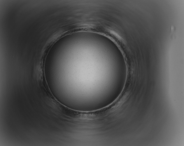 X0000089701354200706281447