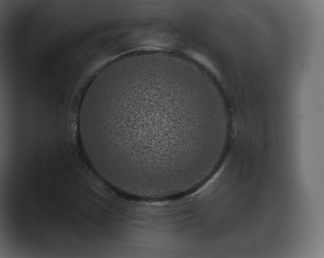 X0000089701355200706281447