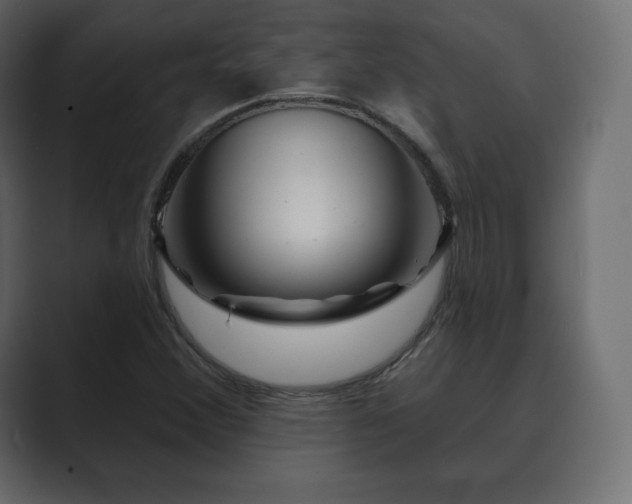 X0000089701356200706281447