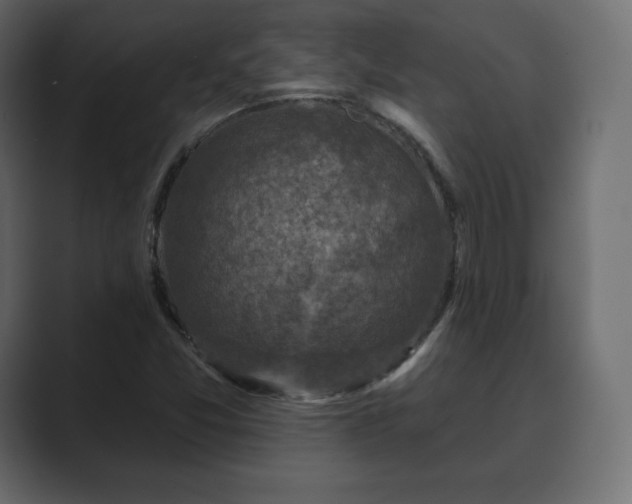 X0000089701357200706281447