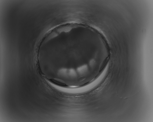 X0000089701359200706281447