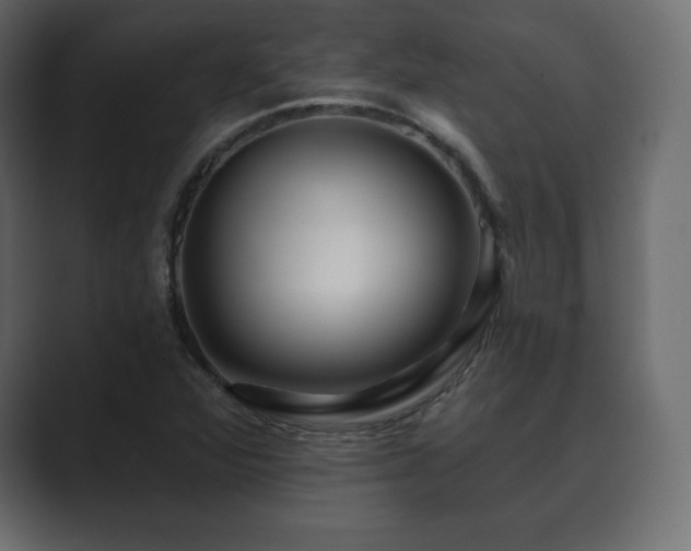 X0000089701360200706281447