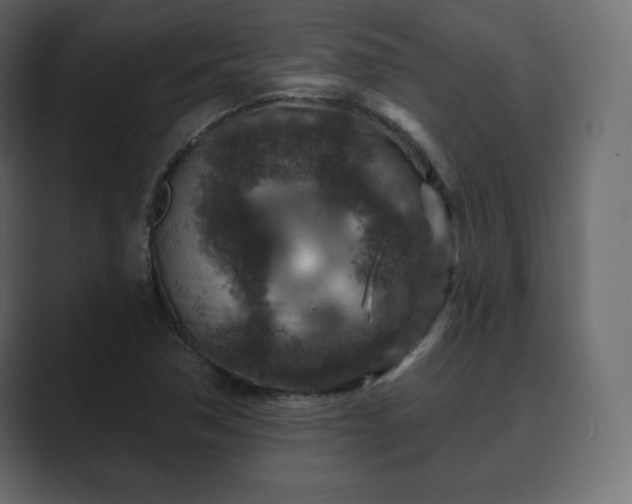 X0000089701362200706281447