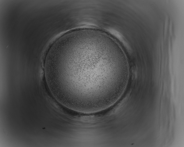 X0000089701363200706281447