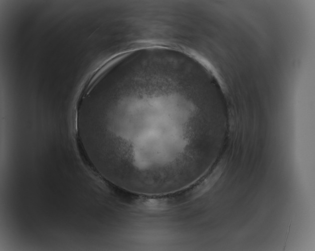 X0000089701365200706281447