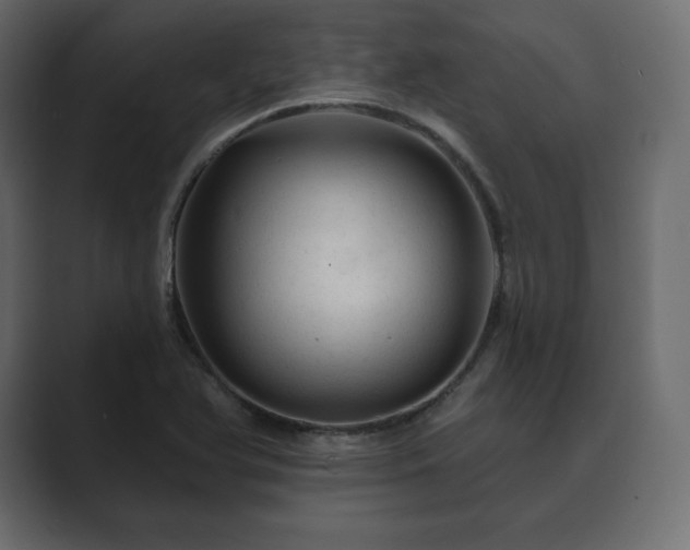 X0000089701366200706281447