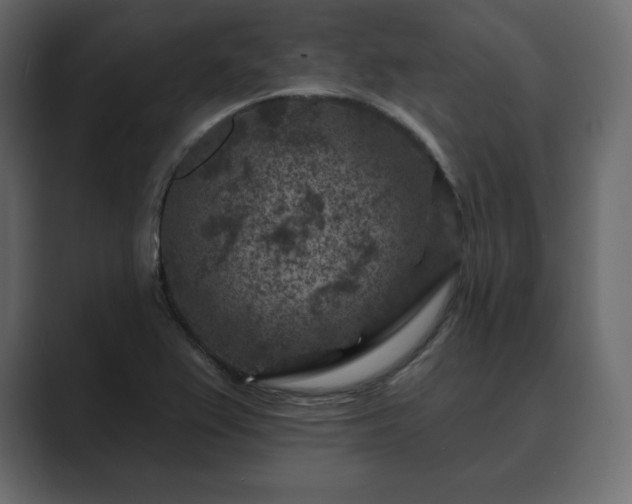 X0000089701367200706281447