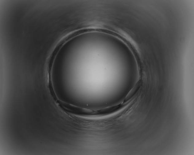 X0000089701368200706281447